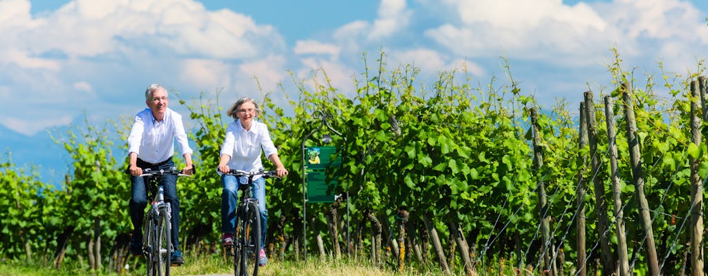 E-bike tour of the Champagne region from Paris