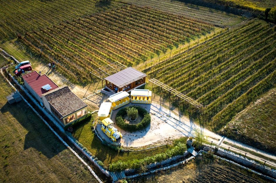 Scenic train ride tour through Konavle Valley musement