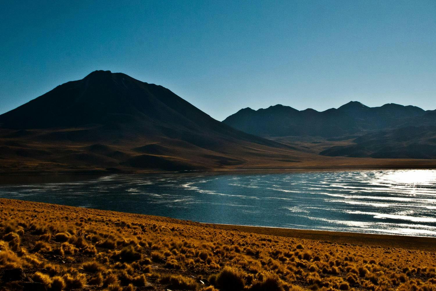 Excursão de dia inteiro às lagoas altiplânicas e ao Salar do Atacama com almoço