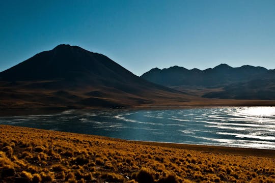 Viagem de um dia às lagoas Altiplanic e Salina de Atacama com almoço