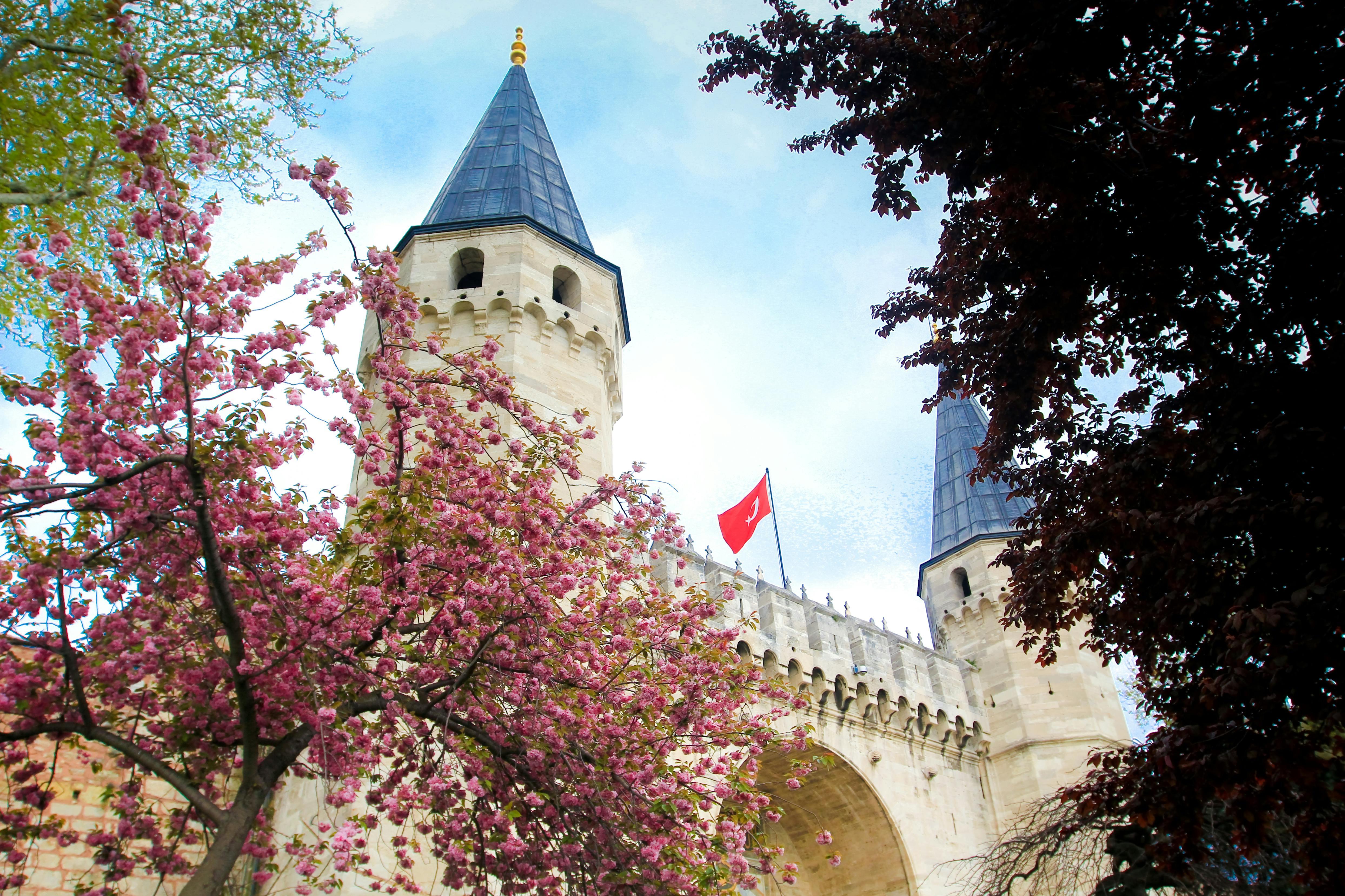Istanbul: tour pomeridiano