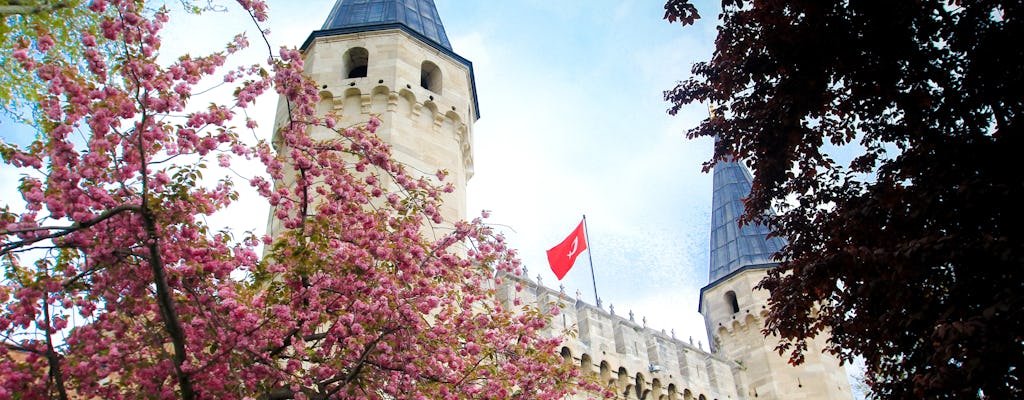 Visite de l'après-midi à Istanbul