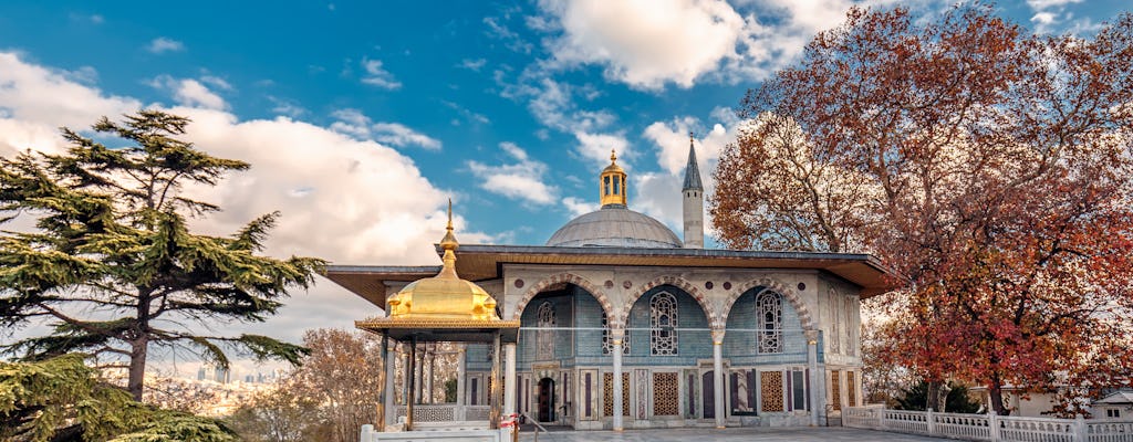 Tour pomeridiano di mezza giornata delle reliquie ottomane di Istanbul