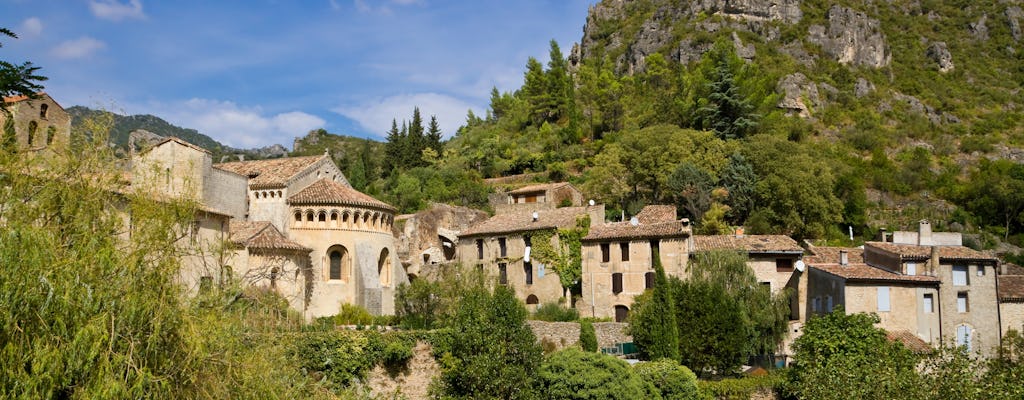 Tour privado de Saint-Guilhem-le-Désert y degustación de vinos