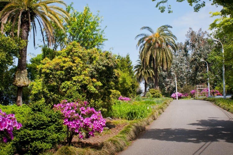 Tour di un giorno al giardino botanico di Batumi e al parco di Mtirala