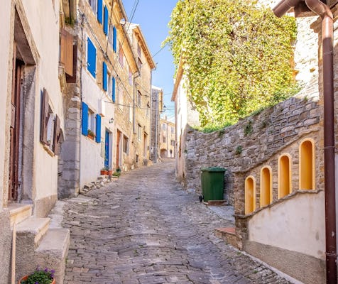 Visite guidée Motovun et saveurs d'Istrie au départ de Rovinj