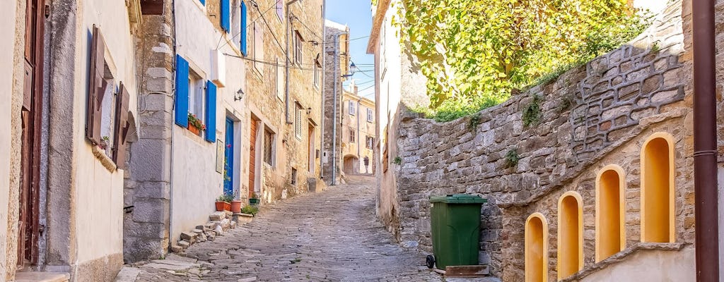 Visita guiada a Motovun y Flavors of Istria desde Rovinj