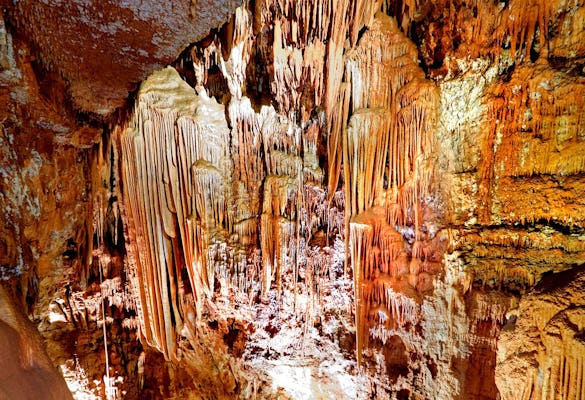 Visita guidata della grotta di Baredine da Rovigno