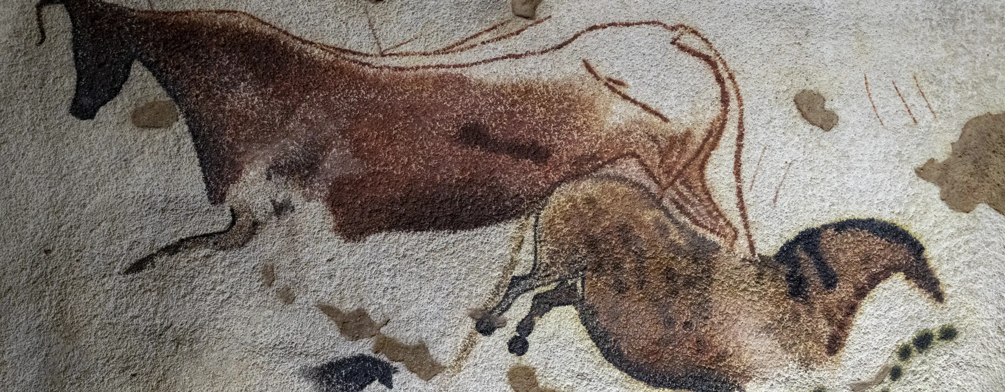 Grotten van Lascaux tickets en tours