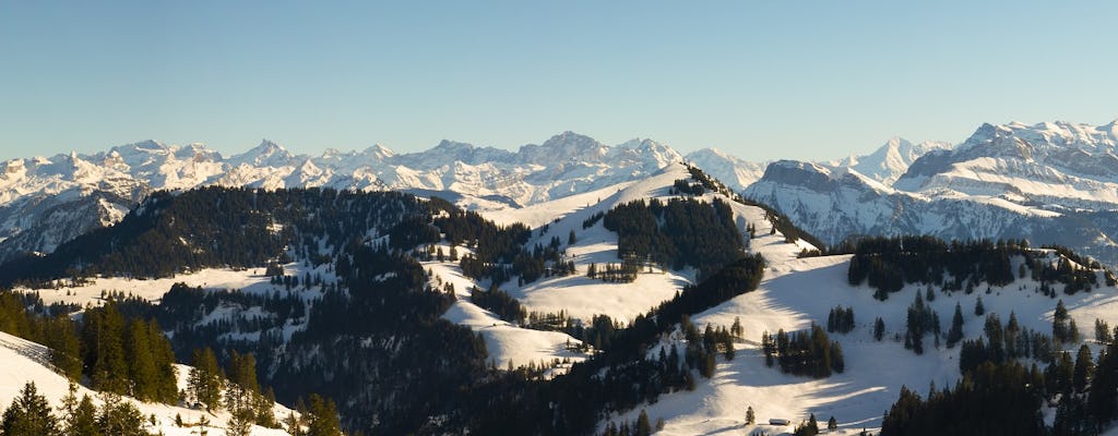 Rigi