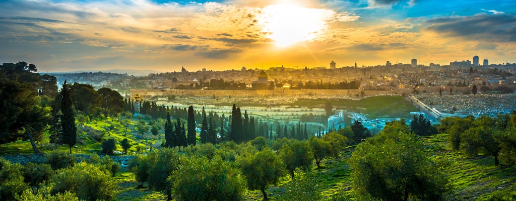 Tour a piedi del Monte degli Ulivi a Gerusalemme