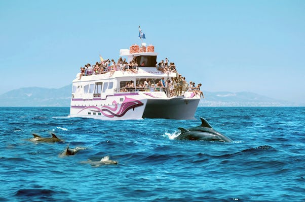 Croisière d'observation des dauphins avec Costasol Cruceros