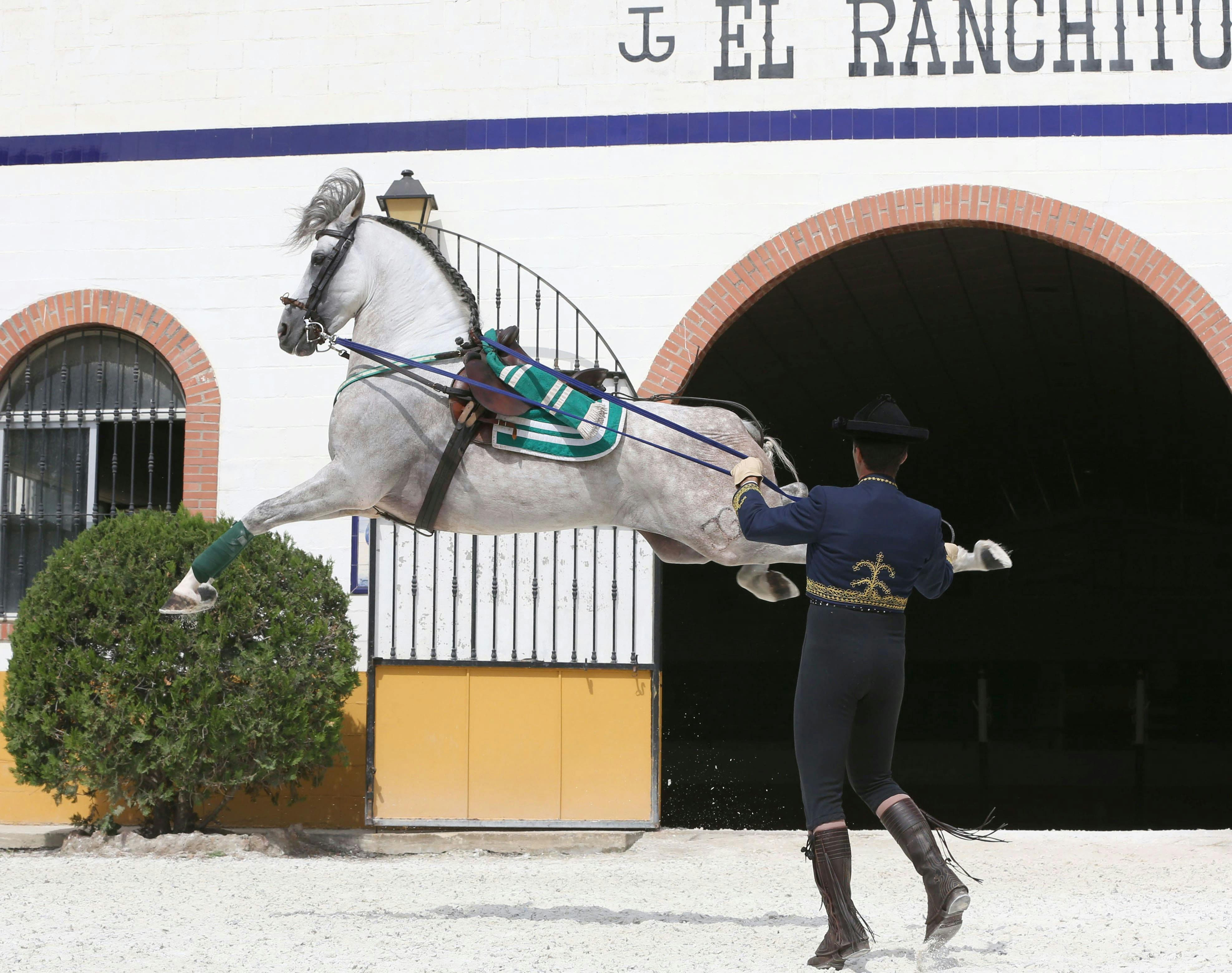 El Ranchito and Andalusian Night