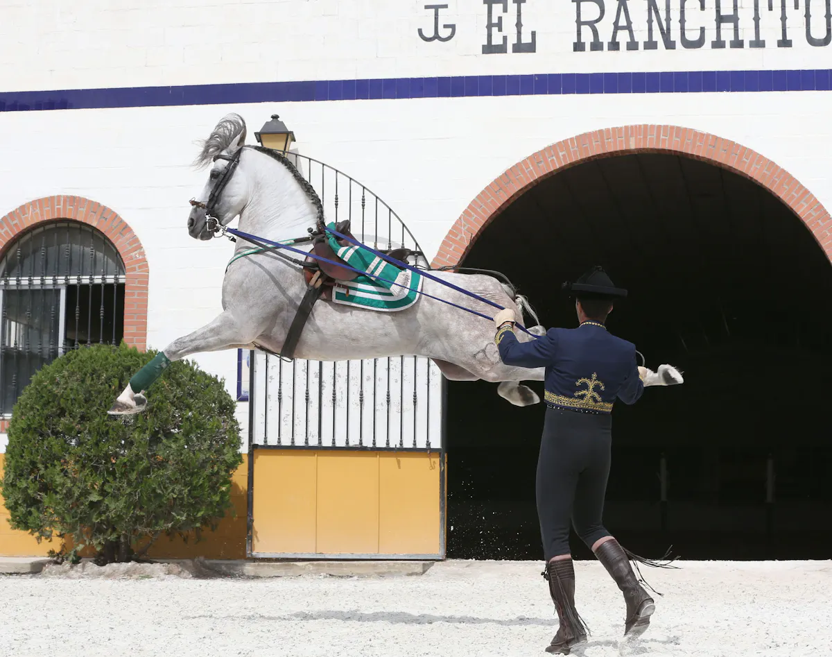 El Ranchito and Andalusian Night