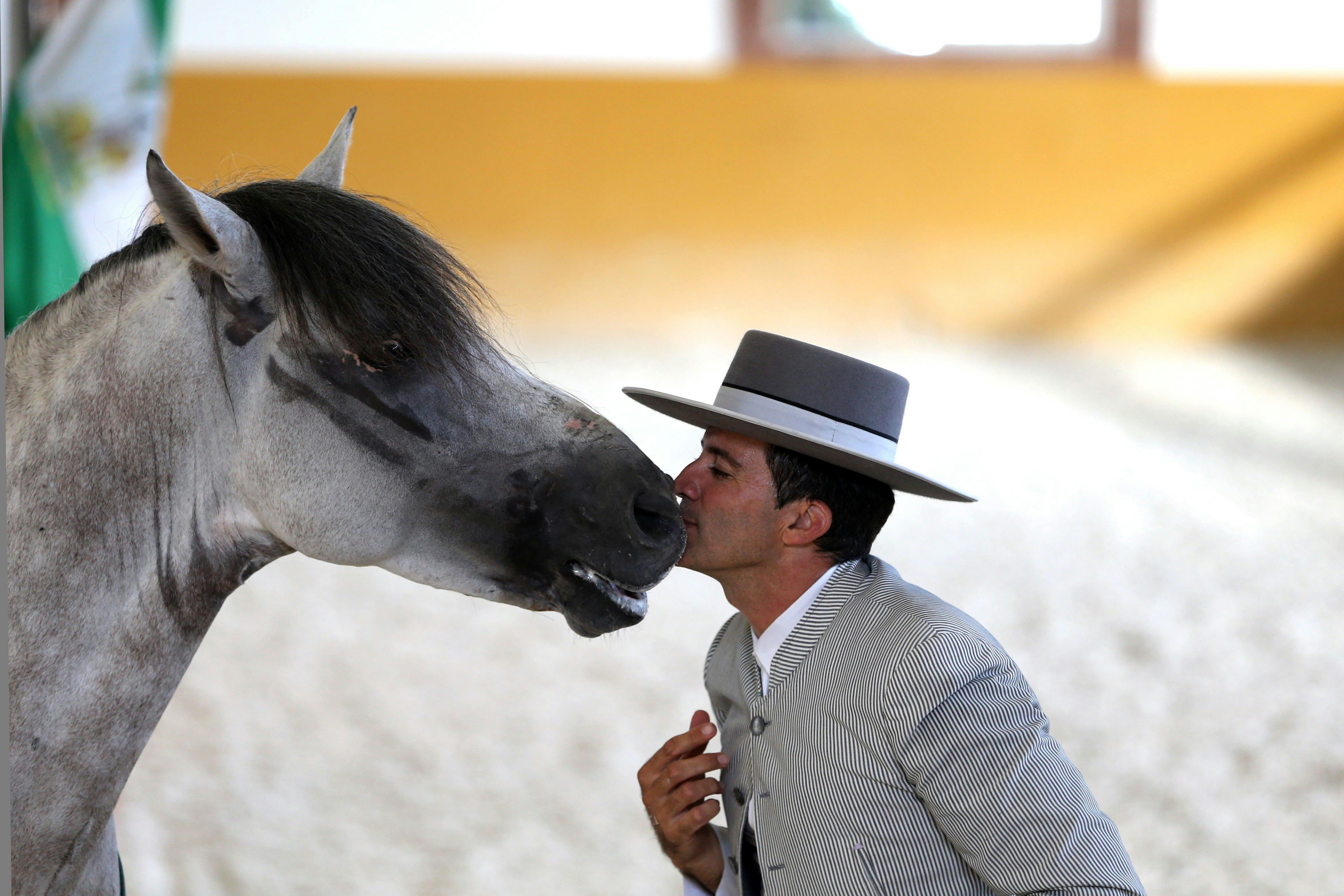 El Ranchito & Andalusischer Abend