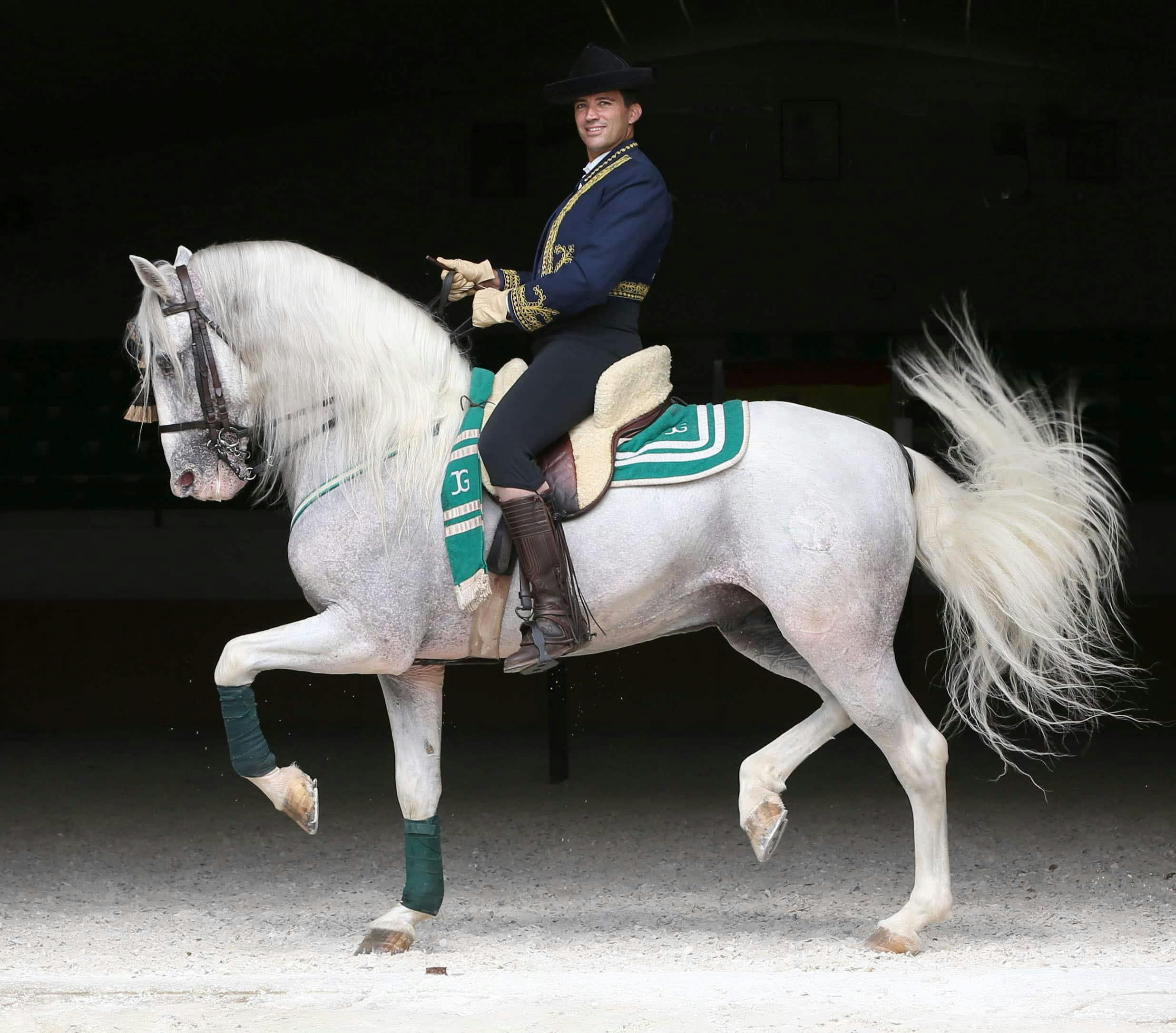 El Ranchito and Andalusian Night