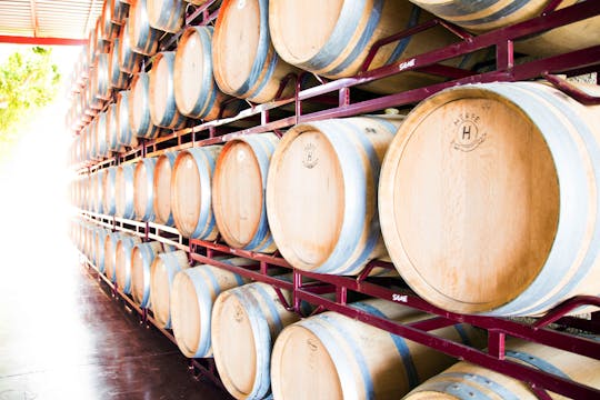 Mendoza Winery Tour and Tasting Ticket