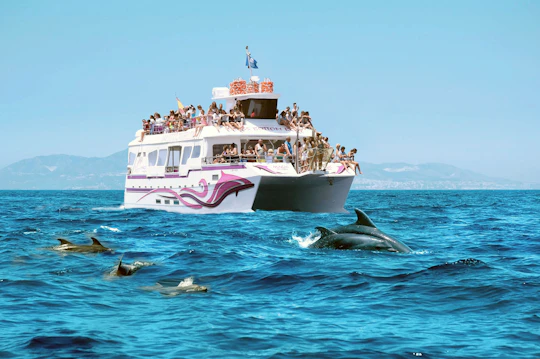 Costasol Cruceros dolphin-watching boat trip
