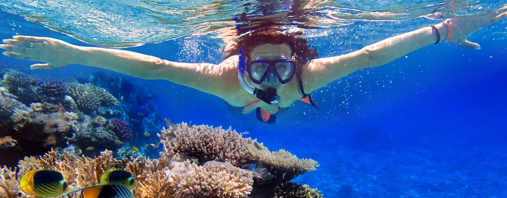 Eilat coral reef snorkeling with instructor