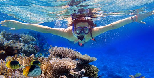 Eilat coral reef snorkeling with instructor