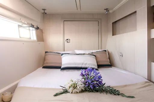 VIP Whale & Dolphin Watching Cruise