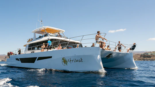 Catamaran morning cruise along Gran Canaria's South West coastline
