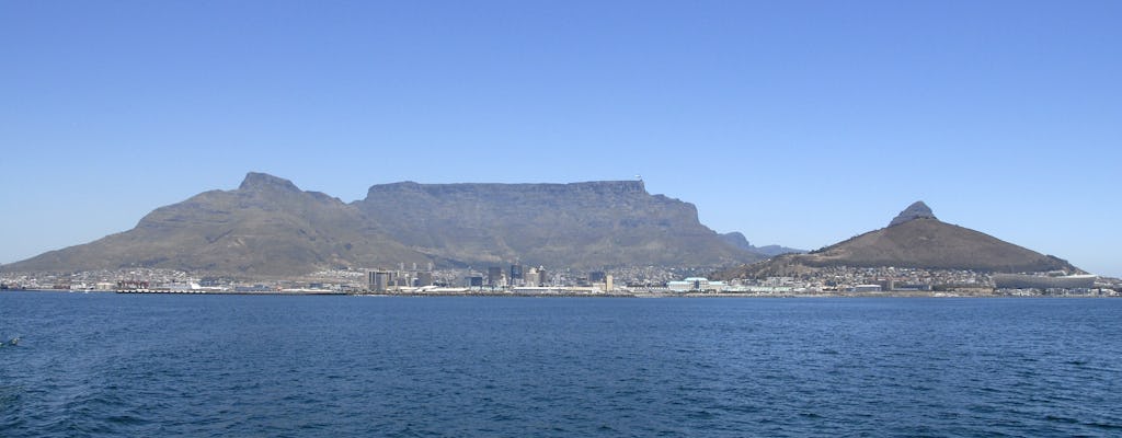 Robbeneiland en Kaapstad-tour van een hele dag