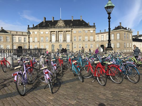 Copenhagen mette in evidenza il tour in bici