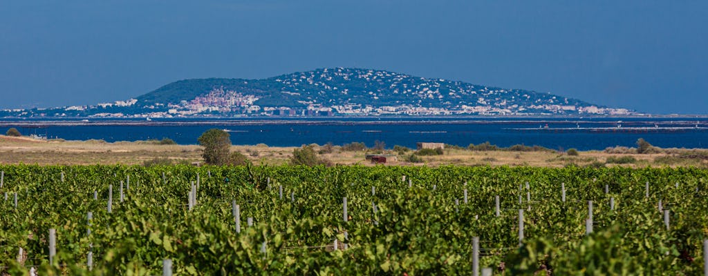Tour di degustazione di vini per piccoli gruppi da Sète