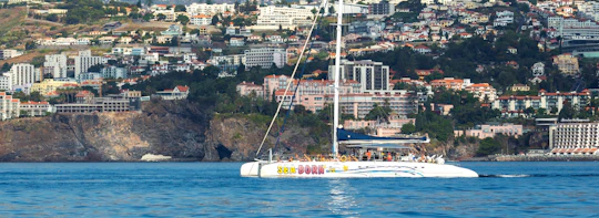 Madeira wine tasting and dolphin watching tour