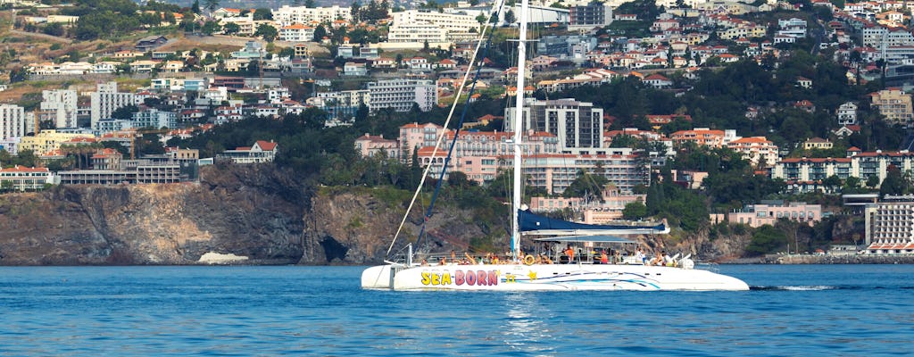 Degustazione di vini di Madeira e tour di osservazione dei delfini