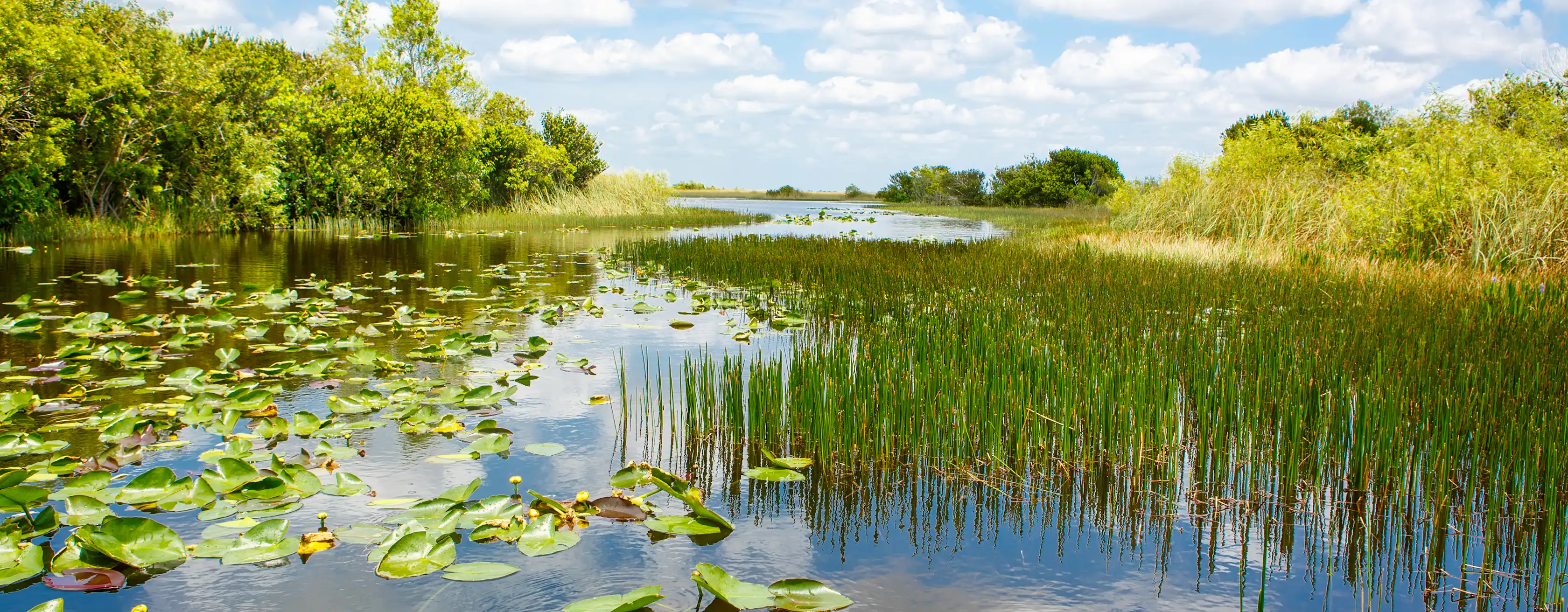 De Everglades tickets en tours