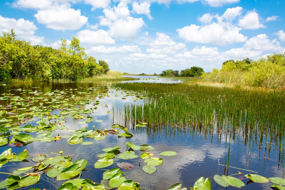 Everglades National Park Tours and Tickets