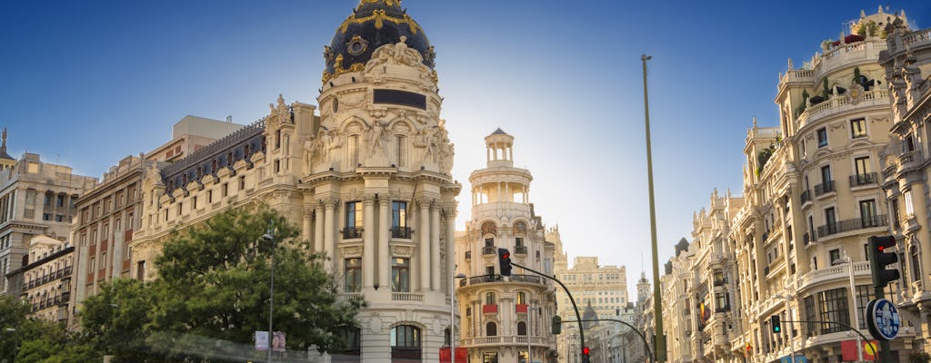 Madrid guided walking tour