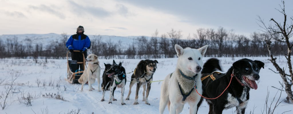 Terra dos sonhos do castelo de Husky e neve com um passeio no mar congelado