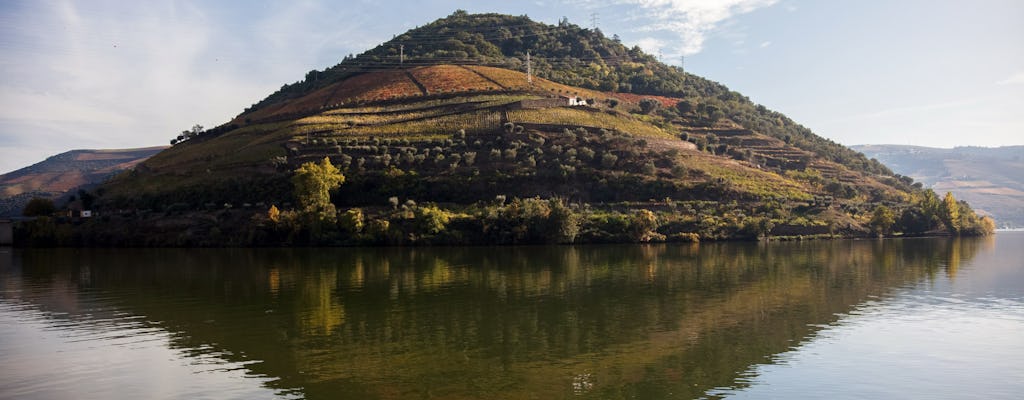 Douro wine rebels and pioneers full-day tour