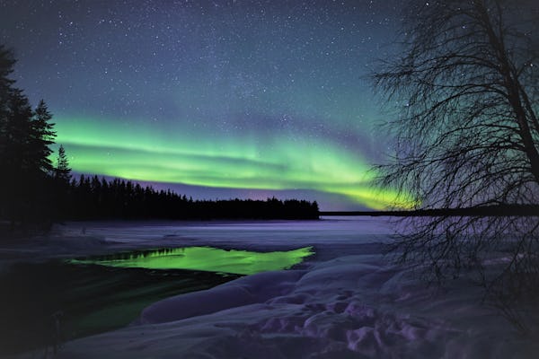 Excursão privada pela aurora boreal com câmera profissional
