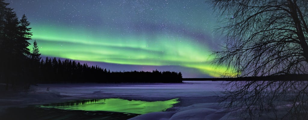 Private northern lights tour with professional camera