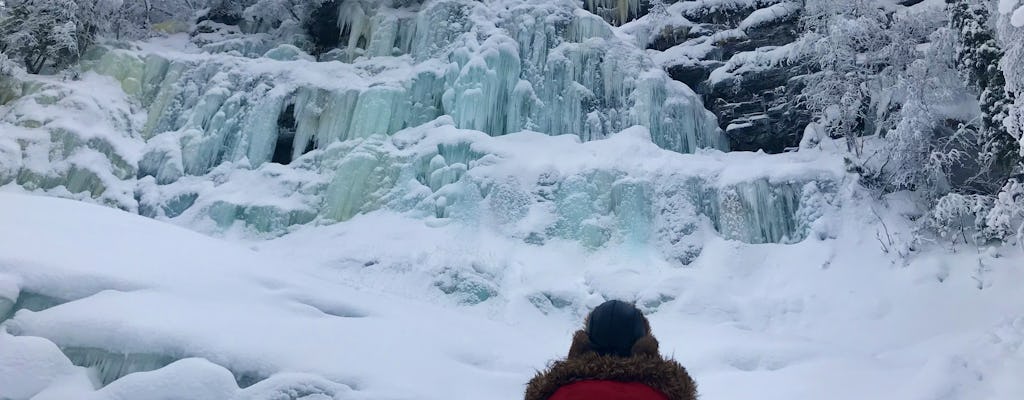 Korouoma Canyon bevroren watervallen-tour (met sneeuwschoenoptie)