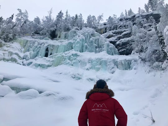 Excursão às cachoeiras congeladas do Korouoma Canyon (com opção de raquete de neve)