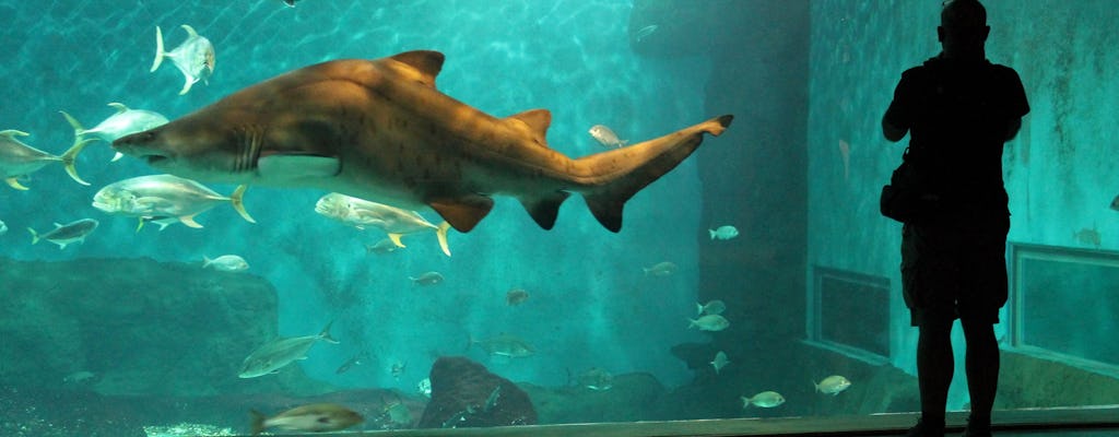 Billets d'entrée à l'Aquarium de Séville