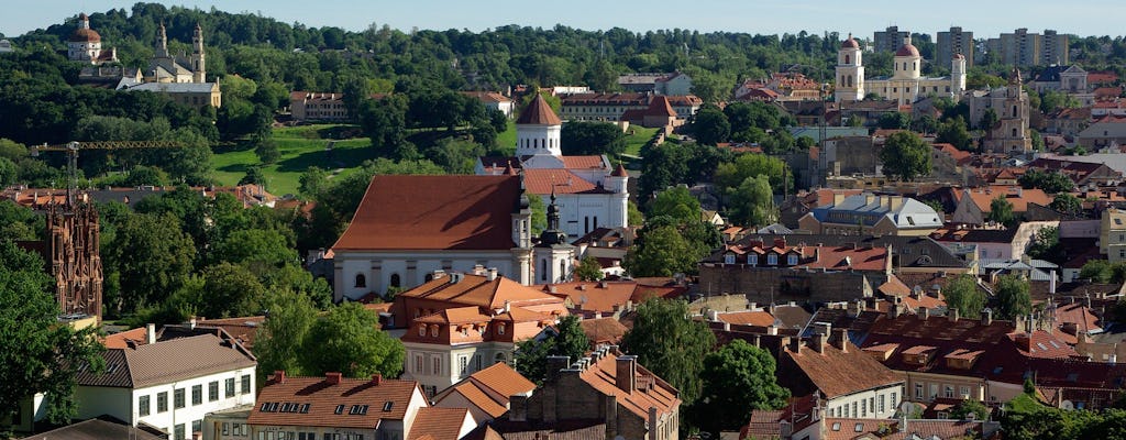 Tour privato della città di Vilnius di 3 ore a piedi