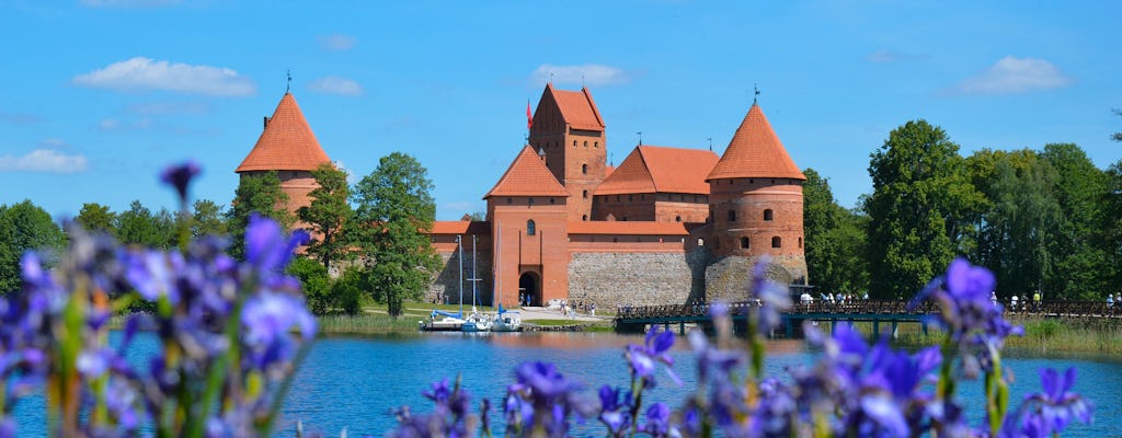 Private 4-hour tour to Trakai from Vilnius