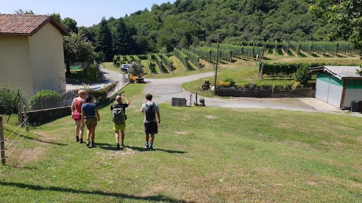 Escursione panoramica nel parco Spina Verde