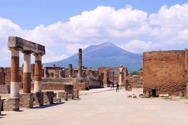 Tour privato di Pompei e Sorrento da Roma