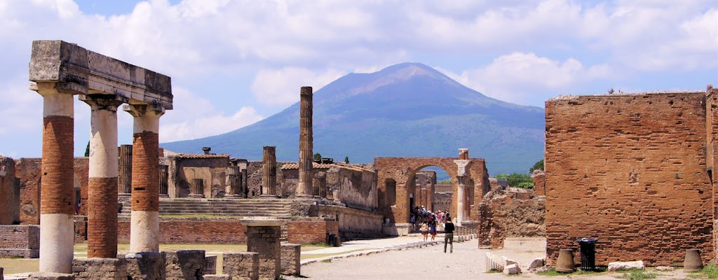 Privé dagtrip naar Pompei en Sorrento vanuit Rome