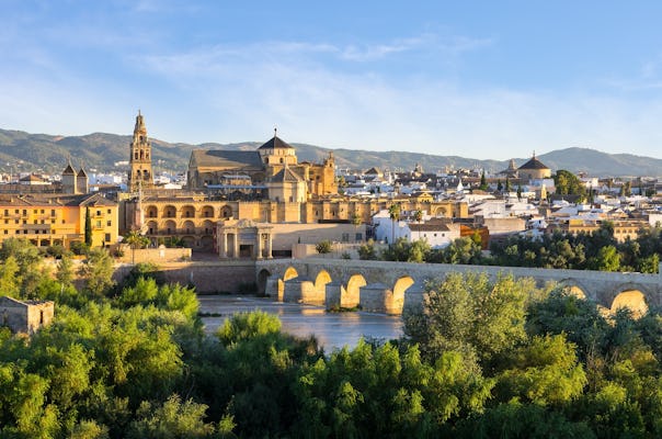 Excursão de dia inteiro a Córdoba saindo de Sevilha