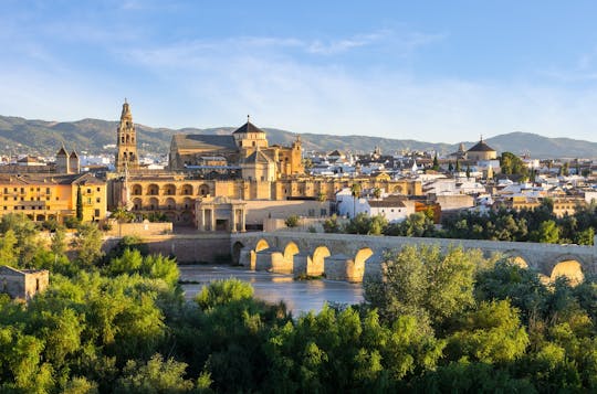 Excursão de dia inteiro a Córdoba saindo de Sevilha