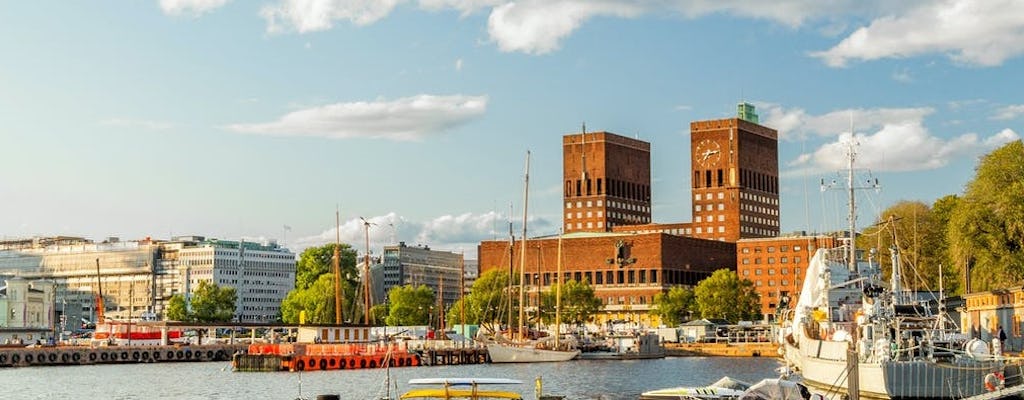 Fjord sightseeingtour van 2 uur in Oslo