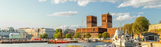 Tour panorâmico de 2 horas por fiorde em Oslo